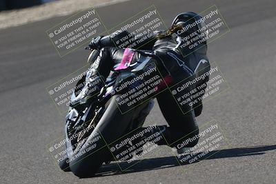 media/Sep-21-2025-TrackDaz (Sun) [[277c75b276]]/B Group/220pm (Turn 6)/